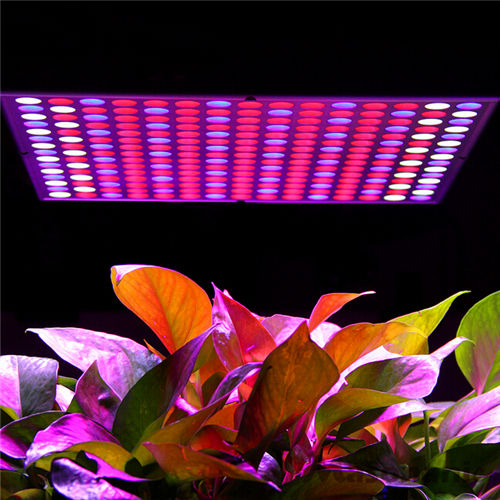 45W Sun Rain Series LED Plants Light 